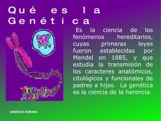 Qué es la Genética Es la ciencia de los fenómenos hereditarios, cuyas primeras leyes fueron establecidas por Mendel en 1885, y que estudia la transmisión de los caracteres anatómicos, citológicos y funcionales de padres a hijos.  La genética es la ciencia de la herencia. GENÉTICA HUMANA 