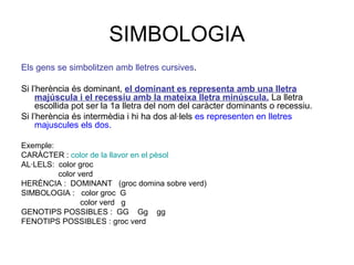 SIMBOLOGIA
Els gens se simbolitzen amb lletres cursives.
Si l’herència és dominant, el dominant es representa amb una lletra
majúscula i el recessiu amb la mateixa lletra minúscula. La lletra
escollida pot ser la 1a lletra del nom del caràcter dominants o recessiu.
Si l’herència és intermèdia i hi ha dos al·lels es representen en lletres
majuscules els dos.
Exemple:
CARÀCTER : color de la llavor en el pèsol
AL·LELS: color groc
color verd
HERÈNCIA : DOMINANT (groc domina sobre verd)
SIMBOLOGIA : color groc G
color verd g
GENOTIPS POSSIBLES : GG Gg gg
FENOTIPS POSSIBLES : groc verd
 