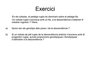 Exercici
En els cobaies, el pelatge rugós és dominant sobre el pelatge llis.
Un cobaia rugós s’encreua amb un llis, a la descendència s’obtenen 8
cobaies rugosos i 7 llisos.
a) Quins són els genotips dels pares i de la descendència ?
b) Si un cobaia de pèl rugós de la descendència anterior s’encreua amb el
progenitor rugós, quines proporcions genotípiques i fenotípiques
s’obtindran a la descendència ?
 