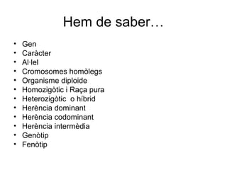 Hem de saber…
• Gen
• Caràcter
• Al·lel
• Cromosomes homòlegs
• Organisme diploide
• Homozigòtic i Raça pura
• Heterozigòtic o híbrid
• Herència dominant
• Herència codominant
• Herència intermèdia
• Genòtip
• Fenòtip
 