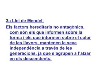 3a Llei de Mendel:
Els factors hereditaris no antagònics,
com són els que informen sobre la
forma i els que informen sobre el color
de les llavors, mantenen la seva
independència a través de les
generacions, ja que s’agrupen a l’atzar
en els descendents.
 