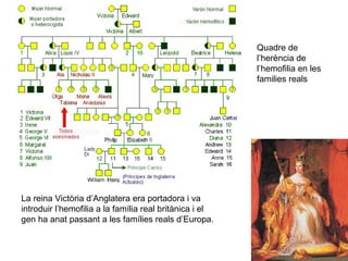 La reina Victòria d’Anglatera era portadora i va
introduir l’hemofilia a la família real britànica i el
gen ha anat passant a les famílies reals d’Europa.
Quadre de
l’herència de
l’hemofilia en les
families reals
 