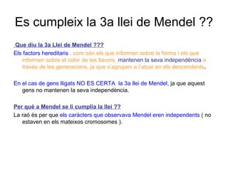 Es cumpleix la 3a llei de Mendel ??
Que diu la 3a Llei de Mendel ???
Els factors hereditaris , com són els que informen sobre la forma i els que
informen sobre el color de les llavors, mantenen la seva independència a
través de les generacions, ja que s’agrupen a l’atzar en els descendents.
En el cas de gens lligats NO ES CERTA la 3a llei de Mendel, ja que aquest
gens no mantenen la seva independència.
Per què a Mendel se li cumplia la llei ??
La raó és per que els caràcters que observava Mendel eren independents ( no
estaven en els mateixos cromosomes ).
 