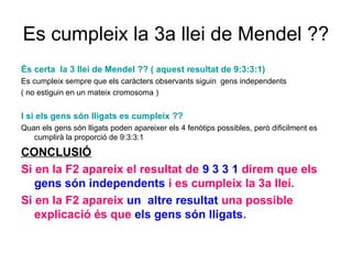 Es cumpleix la 3a llei de Mendel ??
És certa la 3 llei de Mendel ?? ( aquest resultat de 9:3:3:1)
Es cumpleix sempre que els caràcters observants siguin gens independents
( no estiguin en un mateix cromosoma )
I si els gens són lligats es cumpleix ??
Quan els gens són lligats poden apareixer els 4 fenòtips possibles, però dificilment es
cumplirà la proporció de 9:3:3:1
CONCLUSIÓ
Si en la F2 apareix el resultat de 9 3 3 1 direm que els
gens són independents i es cumpleix la 3a llei.
Si en la F2 apareix un altre resultat una possible
explicació és que els gens són lligats.
 