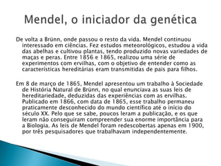 De volta a Brünn, onde passou o resto da vida. Mendel continuou
interessado em ciências. Fez estudos meteorológicos, estudou a vida
das abelhas e cultivou plantas, tendo produzido novas variedades de
maças e peras. Entre 1856 e 1865, realizou uma série de
experimentos com ervilhas, com o objetivo de entender como as
características hereditárias eram transmitidas de pais para filhos.
Em 8 de março de 1865, Mendel apresentou um trabalho à Sociedade
de História Natural de Brünn, no qual enunciava as suas leis de
hereditariedade, deduzidas das experiências com as ervilhas.
Publicado em 1866, com data de 1865, esse trabalho permaneu
praticamente desconhecido do mundo científico até o início do
século XX. Pelo que se sabe, poucos leram a publicação, e os que
leram não conseguiram compreender sua enorme importância para
a Biologia. As leis de Mendel foram redescobertas apenas em 1900,
por três pesquisadores que trabalhavam independentemente.
 