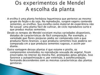 A ervilha é uma planta herbácea leguminosa que pertence ao mesmo
grupo do feijão e da soja. Na reprodução, surgem vagens contendo
sementes, as ervilhas. Sua escolha como material de experiência não
foi casual: uma planta fácil de cultivar, de ciclo reprodutivo curto e
que produz muitas sementes.
Desde os tempos de Mendel existiam muitas variedades disponíveis,
dotadas de características de fácil comparação. Por exemplo, a
variedade que flores púrpuras podia ser comparada com a que
produzia flores brancas; a que produzia sementes lisas poderia ser
comparada cm a que produzia sementes rugosas, e assim por
diante.
Outra vantagem dessas plantas é que estame e pistilo, os
componentes envolvidos na reprodução sexuada do vegetal, ficam
encerrados no interior da mesma flor, protegidas pelas pétalas. Isso
favorece a autopolinização e, por extensão, a autofecundação,
formando descendentes com as mesmas características das plantas
genitoras.
 