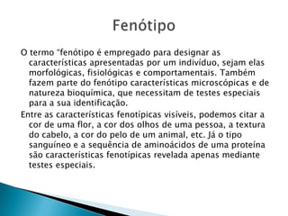 O termo “fenótipo é empregado para designar as
características apresentadas por um indivíduo, sejam elas
morfológicas, fisiológicas e comportamentais. Também
fazem parte do fenótipo características microscópicas e de
natureza bioquímica, que necessitam de testes especiais
para a sua identificação.
Entre as características fenotípicas visíveis, podemos citar a
cor de uma flor, a cor dos olhos de uma pessoa, a textura
do cabelo, a cor do pelo de um animal, etc. Já o tipo
sanguíneo e a sequência de aminoácidos de uma proteína
são características fenotípicas revelada apenas mediante
testes especiais.
 