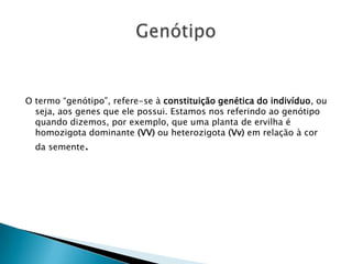 O termo “genótipo”, refere-se à constituição genética do indivíduo, ou
seja, aos genes que ele possui. Estamos nos referindo ao genótipo
quando dizemos, por exemplo, que uma planta de ervilha é
homozigota dominante (VV) ou heterozigota (Vv) em relação à cor
da semente.
 