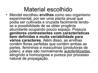 Material escolhido
• Mendel escolheu ervilhas como seu organismo
experimental, por ser uma planta anual que
podia ser cultivada e cruzada facilmente tendo-
se a possibilidade de se obter progênie
abundante ocupando pouco espaço. Possuía
genitores contrastantes com características
bem definidas e muita variabilidade para
vários caracteres. Além disso, as ervilhas
contém flores perfeitas que contém ambas as
partes, femininas e masculinas (produtoras de
pólen), e elas são normalmente autofertilizadas,
atingindo a homozigose e pureza por processo
natural de propagação.
 