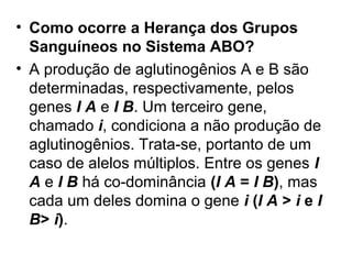 • Como ocorre a Herança dos Grupos
Sanguíneos no Sistema ABO?
• A produção de aglutinogênios A e B são
determinadas, respectivamente, pelos
genes I A e I B. Um terceiro gene,
chamado i, condiciona a não produção de
aglutinogênios. Trata-se, portanto de um
caso de alelos múltiplos. Entre os genes I
A e I B há co-dominância (I A = I B), mas
cada um deles domina o gene i (I A > i e I
B> i).
 