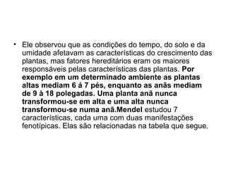 • Ele observou que as condições do tempo, do solo e da
umidade afetavam as características do crescimento das
plantas, mas fatores hereditários eram os maiores
responsáveis pelas características das plantas. Por
exemplo em um determinado ambiente as plantas
altas mediam 6 á 7 pés, enquanto as anãs mediam
de 9 à 18 polegadas. Uma planta anã nunca
transformou-se em alta e uma alta nunca
transformou-se numa anã.Mendel estudou 7
características, cada uma com duas manifestações
fenotípicas. Elas são relacionadas na tabela que segue.
 
