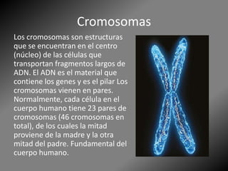 Cromosomas
Los cromosomas son estructuras
que se encuentran en el centro
(núcleo) de las células que
transportan fragmentos largos de
ADN. El ADN es el material que
contiene los genes y es el pilar Los
cromosomas vienen en pares.
Normalmente, cada célula en el
cuerpo humano tiene 23 pares de
cromosomas (46 cromosomas en
total), de los cuales la mitad
proviene de la madre y la otra
mitad del padre. Fundamental del
cuerpo humano.
 