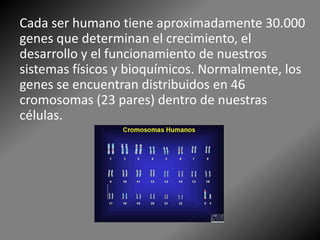 Cada ser humano tiene aproximadamente 30.000
genes que determinan el crecimiento, el
desarrollo y el funcionamiento de nuestros
sistemas físicos y bioquímicos. Normalmente, los
genes se encuentran distribuidos en 46
cromosomas (23 pares) dentro de nuestras
células.
 