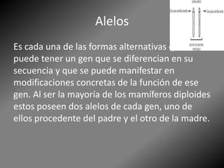 Alelos
Es cada una de las formas alternativas que
puede tener un gen que se diferencian en su
secuencia y que se puede manifestar en
modificaciones concretas de la función de ese
gen. Al ser la mayoría de los mamíferos diploides
estos poseen dos alelos de cada gen, uno de
ellos procedente del padre y el otro de la madre.
 