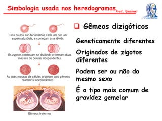  Gêmeos dizigóticos
Geneticamente diferentes
Originados de zigotos
diferentes
Podem ser ou não do
mesmo sexo
É o tipo mais comum de
gravidez gemelar
Simbologia usada nos heredogramasProf. Emanuel
 