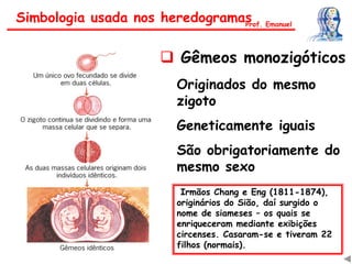 Originados do mesmo
zigoto
Geneticamente iguais
São obrigatoriamente do
mesmo sexo
Irmãos Chang e Eng (1811-1874),
originários do Sião, daí surgido o
nome de siameses – os quais se
enriqueceram mediante exibições
circenses. Casaram-se e tiveram 22
filhos (normais).
Simbologia usada nos heredogramasProf. Emanuel
 Gêmeos monozigóticos
 