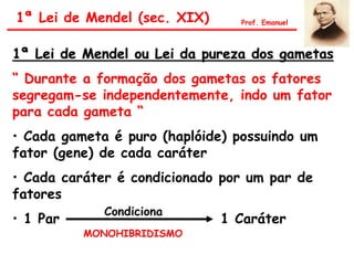 1ª Lei de Mendel ou Lei da pureza dos gametas
“ Durante a formação dos gametas os fatores
segregam-se independentemente, indo um fator
para cada gameta “
• Cada gameta é puro (haplóide) possuindo um
fator (gene) de cada caráter
• Cada caráter é condicionado por um par de
fatores
• 1 Par 1 Caráter
Condiciona
MONOHIBRIDISMO
1ª Lei de Mendel (sec. XIX) Prof. Emanuel
 