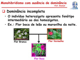 • O indivíduo heterozigoto apresenta fenótipo
intermediário ao dos homozigotos.
• Ex.: Flor boca de leão ou maravilha da noite.
Monohibridismo com ausência de dominância
Prof. Emanuel
 Dominância incompleta
Flor Branca Flor Vermelha
Flor Rosa
 