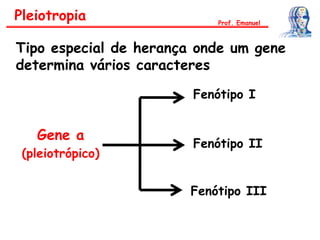 Tipo especial de herança onde um gene
determina vários caracteres
Gene a
(pleiotrópico)
Pleiotropia Prof. Emanuel
Fenótipo I
Fenótipo II
Fenótipo III
 