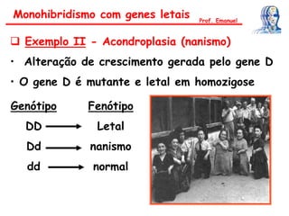  Exemplo II - Acondroplasia (nanismo)
• Alteração de crescimento gerada pelo gene D
• O gene D é mutante e letal em homozigose
Genótipo
DD
Dd
dd
Fenótipo
Letal
nanismo
normal
Monohibridismo com genes letais Prof. Emanuel
 