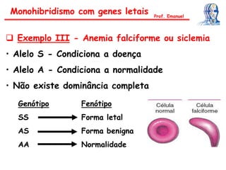  Exemplo III - Anemia falciforme ou siclemia
• Alelo S - Condiciona a doença
• Alelo A - Condiciona a normalidade
• Não existe dominância completa
Genótipo
SS
AS
AA
Fenótipo
Forma letal
Forma benigna
Normalidade
Prof. Emanuel
Monohibridismo com genes letais
 