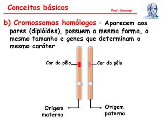 b) Cromossomos homólogos – Aparecem aos
pares (diplóides), possuem a mesma forma, o
mesmo tamanho e genes que determinam o
mesmo caráter
Prof. Emanuel
Cor do pêloCor do pêlo
Origem
materna
Origem
paterna
Conceitos básicos
 