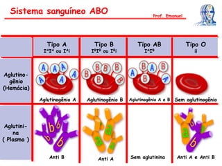 Sistema sanguíneo ABO
Tipo A
IAIA ou IAi
Tipo B
IBIB ou IBi
Tipo AB
IAIB
Tipo O
ii
Aglutino-
gênio
(Hemácia)
Aglutini-
na
( Plasma )
Anti B Anti A Sem aglutinina Anti A e Anti B
Aglutinogênio A Aglutinogênio B Aglutinogênio A e B Sem aglutinogênio
Prof. Emanuel
 
