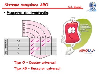 Sistema sanguíneo ABO
• Esquema de tranfusão:
Tipo O – Doador universal
Tipo AB – Receptor universal
Prof. Emanuel
 