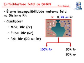 Eritroblastose fetal ou DHRN
• É uma incompatibilidade materno fetal
no Sistema Rh
• Condições:
• Mãe: Rh- (rr)
• Filho: Rh+ (Rr)
• Pai: Rh+ (RR ou Rr)
rr X RR ou Rr
100% Rr 50% Rr
50% rr
Prof. Emanuel
 