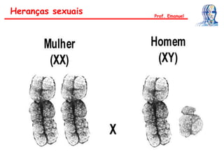 Heranças sexuais Prof. Emanuel
 