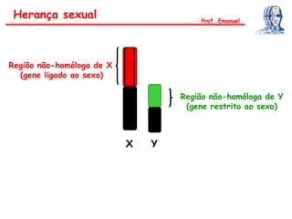 Herança sexual
Região não-homóloga de X
(gene ligado ao sexo)
Região não-homóloga de Y
(gene restrito ao sexo)
X Y
Prof. Emanuel
 