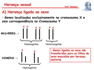 Herança sexual
A) Herança ligada ao sexo
• Genes localizados exclusivamente no cromossomo X e
sem correspondência no Cromossomo Y
MULHERES →
A A a a A a
Homozigotas Heterozigotas
HOMENS →
A a
Hemizigotos
• Genes ligados ao sexo são
transferidos para os filhos do
sexo masculino por herança
materna
Prof. Emanuel
 