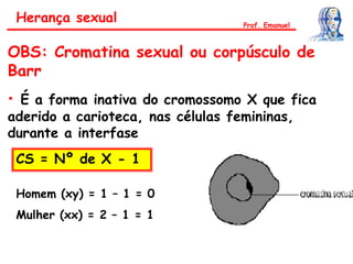 Herança sexual
OBS: Cromatina sexual ou corpúsculo de
Barr
• É a forma inativa do cromossomo X que fica
aderido a carioteca, nas células femininas,
durante a interfase
CS = Nº de X - 1
Homem (xy) = 1 – 1 = 0
Mulher (xx) = 2 – 1 = 1
Prof. Emanuel
 