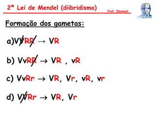 Formação dos gametas:
a)VVRR → VR
b) VvRR  VR , vR
c) VvRr  VR, Vr, vR, vr
d) VVRr  VR, Vr
Prof. Emanuel
2ª Lei de Mendel (diibridismo)
 