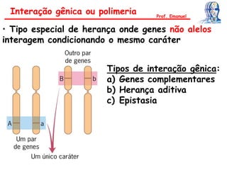 • Tipo especial de herança onde genes não alelos
interagem condicionando o mesmo caráter
Interação gênica ou polimeria Prof. Emanuel
Tipos de interação gênica:
a) Genes complementares
b) Herança aditiva
c) Epistasia
 