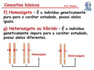 f) Homozigoto – É o indivíduo geneticamente
puro para o caráter estudado, possui alelos
iguais.
g) Heterozigoto ou híbrido – É o indivíduo
geneticamente impuro para o caráter estudado,
possui alelos diferentes.
Conceitos básicos Prof. Emanuel
Homozigose
Heterozigose
 