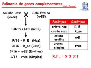 Galinha Rosa
(RRee)
Galo Ervilha
(rrEE)X
Filhotes Noz (RrEe)
9/16 – R_E_ (Noz)
3/16 – R_ee (Rosa)
3/16 – rrEE (Ervilhas)
1/16 – rree (Simples) R.F. = 9:3:3:1
Fenótipos Genótipos
crista noz R_E_
crista rosa R_ee
crista
ervilha
rrE_
crista
simples
rree
Polimeria de genes complementares
Prof. Emanuel
 