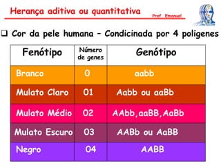 Fenótipo Número
de genes
Genótipo
Branco 0 aabb
Mulato Claro 01 Aabb ou aaBb
Mulato Médio 02 AAbb,aaBB,AaBb
Mulato Escuro 03 AABb ou AaBB
Negro 04 AABB
 Cor da pele humana – Condicinada por 4 poligenes
Herança aditiva ou quantitativa Prof. Emanuel
 