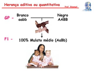 Branco
aabb
Negro
AABB
100% Mulato médio (AaBb)
GP -
F1 -
Herança aditiva ou quantitativa Prof. Emanuel
 