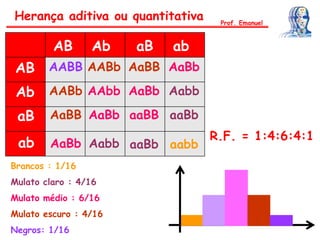 Herança aditiva ou quantitativa Prof. Emanuel
AB Ab
AB
aB
aB
Ab
ab
ab
AABB
aabb
AABb AaBB AaBb
AABb AAbb AaBb Aabb
AaBB AaBb aaBB aaBb
AaBb Aabb aaBb
Brancos : 1/16
Mulato claro : 4/16
Mulato médio : 6/16
Mulato escuro : 4/16
Negros: 1/16
R.F. = 1:4:6:4:1
 