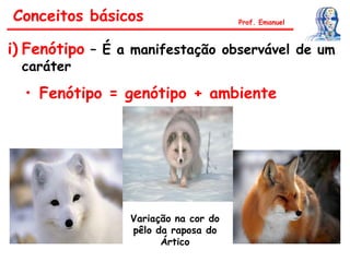 i) Fenótipo – É a manifestação observável de um
caráter
• Fenótipo = genótipo + ambiente
Conceitos básicos Prof. Emanuel
Variação na cor do
pêlo da raposa do
Ártico
 