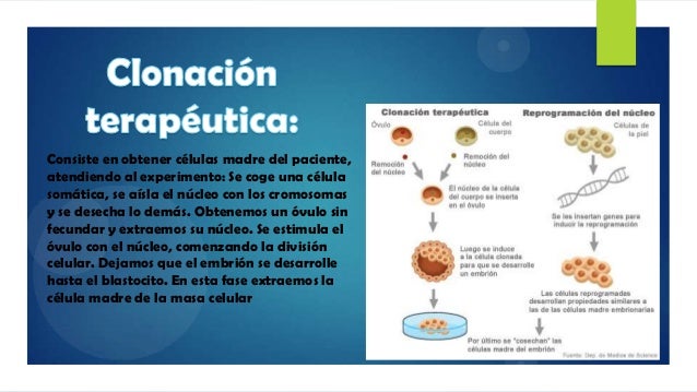 TIPOS DE CLONACION