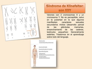 Varones con 2 cromosomas X y un
cromosoma Y. No es perceptible, salvo
en la pubertad en la que algunos
manifiestan
caracteres
sexuales
secundarios mixtos (desarrollo parcial
de
las
glándulas
mamarias,
ensanchamiento
de
las
caderas,
testículos pequeños) Generalmente
estériles. Trastornos en el aprendizaje
sobre todo del lenguaje.

 