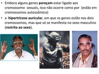 • Embora alguns genes pareçam estar ligado aos
cromossomo sexuais, isso não ocorre como por (estão em
cromossomos autossômico)
• a hipertricose auricular, em que os genes estão nos dois
cromossomos, mas que só se manifesta no sexo masculino
(restrita ao sexo).
 