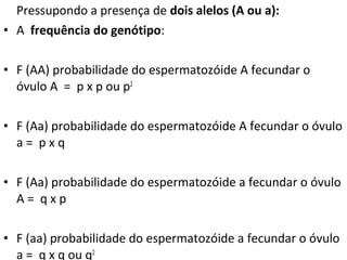 Pressupondo a presença de dois alelos (A ou a):
• A frequência do genótipo:
• F (AA) probabilidade do espermatozóide A fecundar o
óvulo A = p x p ou p2
• F (Aa) probabilidade do espermatozóide A fecundar o óvulo
a = p x q
• F (Aa) probabilidade do espermatozóide a fecundar o óvulo
A = q x p
• F (aa) probabilidade do espermatozóide a fecundar o óvulo
a = q x q ou q2
 