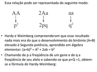 Essa relação pode ser representada do seguinte modo:
• Hardy e Weimberg compreenderam que esse resultado
nada mais era do que o desenvolvimento do binômio (A+B)
elevado à Segunda potência, aprendido em álgebra
elementar: (a+b)² = A² + 2ab = b²
• Chamando de p a freqüência de um gene e de q a
freqüência de seu alelo e sabendo-se que p+Q =1, obtem-
se a fórmula de Hardy-Weimberg:
 