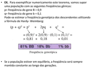 • EX. Para exemplificar numericamente este teorema, vamos supor
uma população com as seguintes freqüências gênicas:
p= freqüência do gene B = 0,9
q= freqüência do gene b = 0,1
Pode-se estimar a freqüência genotípica dos descendentes utilizando
a fórmula de Hardy- Weimberg:
• Se a população estiver em equilíbrio, a freqüência será sempre
mantida constante ao longo das gerações.
 
