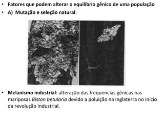 • Fatores que podem alterar o equilíbrio gênico de uma população
• A) Mutação e seleção natural:
• Melanismo industrial: alteração das frequencias gênicas nas
mariposas Biston betularia devido a poluição na Inglaterra no início
da revolução industrial.
 