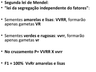 • Segunda lei de Mendel:
• "lei da segregação independente do fatores":
• Sementes amarelas e lisas: VVRR, formarão
apenas gametas VR
• Sementes verdes e rugosas: vvrr, formarão
apenas gametas vr
• No cruzamento P= VVRR X vvrr
• F1 = 100% VvRr amarelas e lisas
 