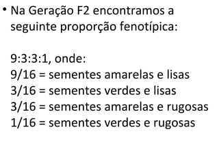 • Na Geração F2 encontramos a
seguinte proporção fenotípica:
9:3:3:1, onde:
9/16 = sementes amarelas e lisas
3/16 = sementes verdes e lisas
3/16 = sementes amarelas e rugosas
1/16 = sementes verdes e rugosas
 